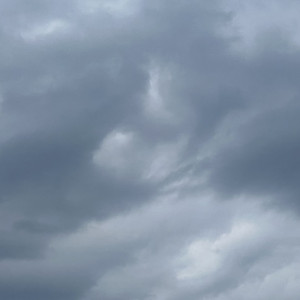 Во Владимирской области объявили желтый уровень опасности из-за грозы и урагана