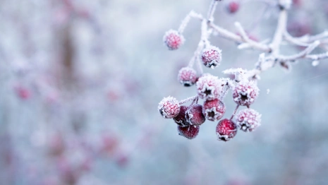 Прогноз погоды во Владимирской области на 28 ноября