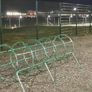 Во Владимире появится площадка для выгула домашних животных