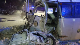 «Фрэнсис» спровоцировал несколько ДТП с пострадавшими во Владимирской области