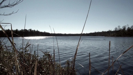 На озере во Владимире нашли труп человека