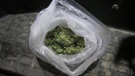 Во Владимирской области сотрудника ФСИН задержали за выращивание конопли