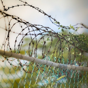 Жителя Александрова арестовали на два месяца за подрыв 5 человек