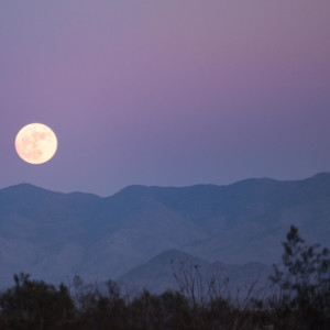 Владимирцы в конце августа увидят последнее суперлуние 2023 года