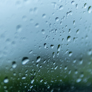 Во Владимирской области весь день будут лить затяжные дожди