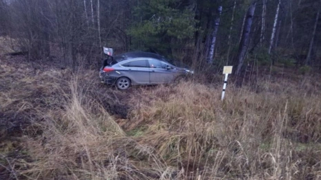 В Собинском районе водитель и пассажир попали в больницу после наезда на дерево