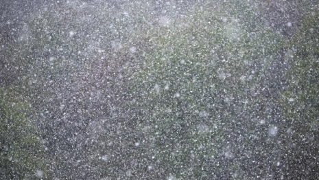 Жителей Владимирской области предупредили о затяжном снегопаде