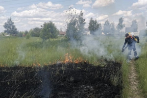 Во Владимире пожар уничтожил 200 кв. м. травы