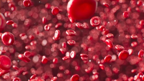 Плазмацентр во Владимире построят к 2025 году