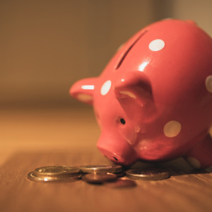 Во Владимирской области увеличат прожиточный минимум