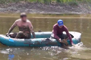 Во Владимирской области полицейские спасли косулю из трясины: появилось видео