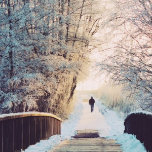 Синоптики сообщили, когда во Владимирской области отступят морозы 