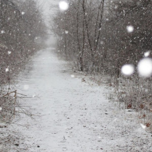 Владимирцев предупредили о ледяном апокалипсисе