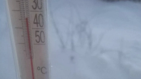 Во Владимирской области зафиксировали морозы в -34 градуса