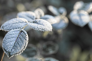 Прогноз погоды во Владимире и области 23 сентября