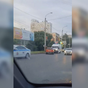 На выезде из Владимира сбили перебегающего на красный ребенка с собакой