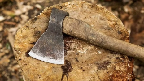 Ударившего мать топором жителя Владимирской области приговорили к колонии