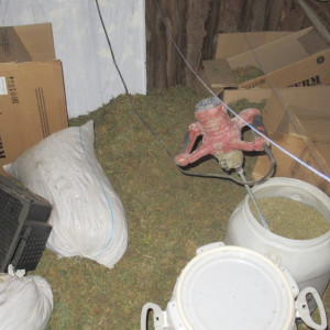 Житель Владимирской области попался на хранении крупной партии наркотиков