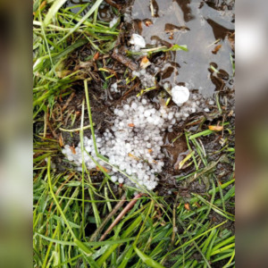 Последствия майского града во Владимирской области показали на фото