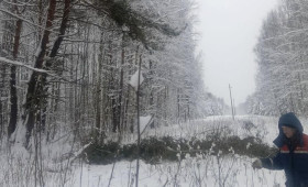 Во Владимирской области Гусь-Хрустальный и Меленковский районы остались без света