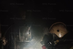 На пожаре в Коврове спасли 12-летнего и 16-летнего детей