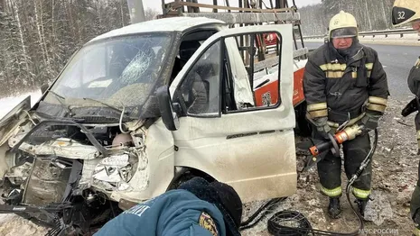 Водитель ГАЗели пострадал в ДТП под Петушками