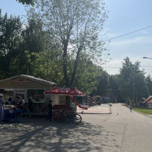 Во Владимире разработают концепцию спортивного кластера у парка «Дружба»