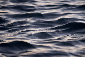 Во Владимире установили личность утонувшей в Добром девушки