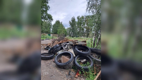 Владимирцы завалили губернатора жалобами после новости о следящей за чистотой нейросети