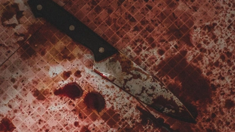 Во Владимирской области нашли два трупа пенсионеров