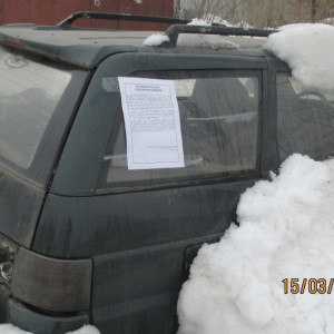 Во Владимире насчитали 17 «автоподснежников»