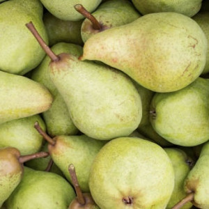 Во Владимирской области подорожали груши и огурцы