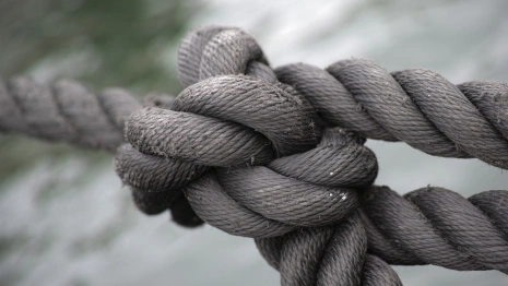 Мужчина из Владимирской области попал в 5-летнее рабство в Ингушетии