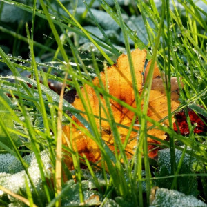 Прогноз погоды во Владимире на 6 ноября