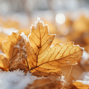 Во Владимирской области пойдет небольшой снег
