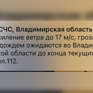 МЧС предупредило жителей Владимирской области о грозе и ветре до 17 м/с