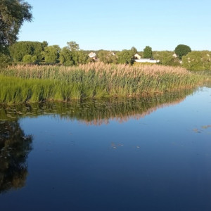 Во Владимире официально закрыли купальный сезон