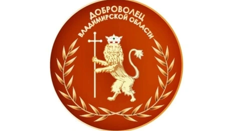 Во Владимирской области появится новый знак отличия для волонтеров