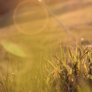 Никифоров день: что можно и чего нельзя делать 26 марта