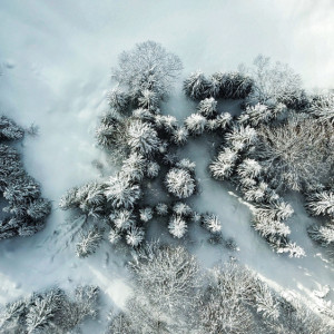 Прогноз погоды во Владимире и области на 25 декабря