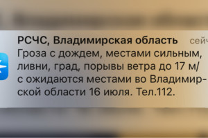 МЧС предупредило жителей Владимирской области о грозе и граде 16 июля