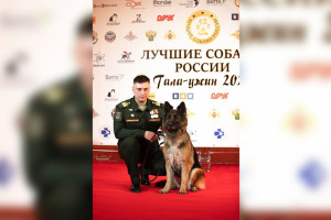 Кинолог и вице-президент муромского мотоклуба погиб в зоне СВО