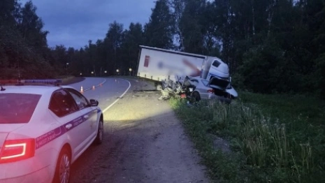За неделю в ДТП на дорогах Владимирской области погибли 2 человека