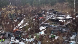 В лесах Владимирской области обнаружили 1713 стихийных свалок