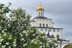 Во Владимире разработают проект озеленения