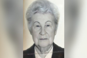 Жителей Владимирской области позвали на поиски 85-летней бабушки с зеленым ведром