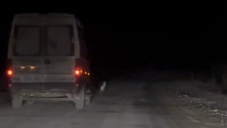 Во Владимирской области гонка зайца с ГАЗелью попала на видео