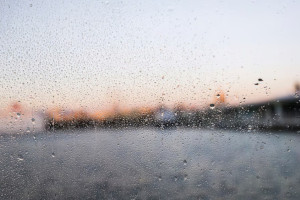 Во Владимирской области в сентябре прогнозируют 13 дождливых дней