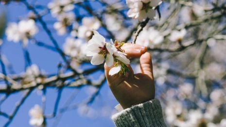 Прогноз погоды на 25 апреля 2025 года во Владимирской области