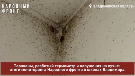 В школах Владимира поселились полчища тараканов